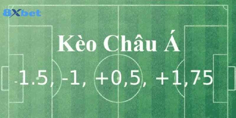 Cá cược với kèo chấp nửa trái đặc biệt vì không có trường hợp hòa.